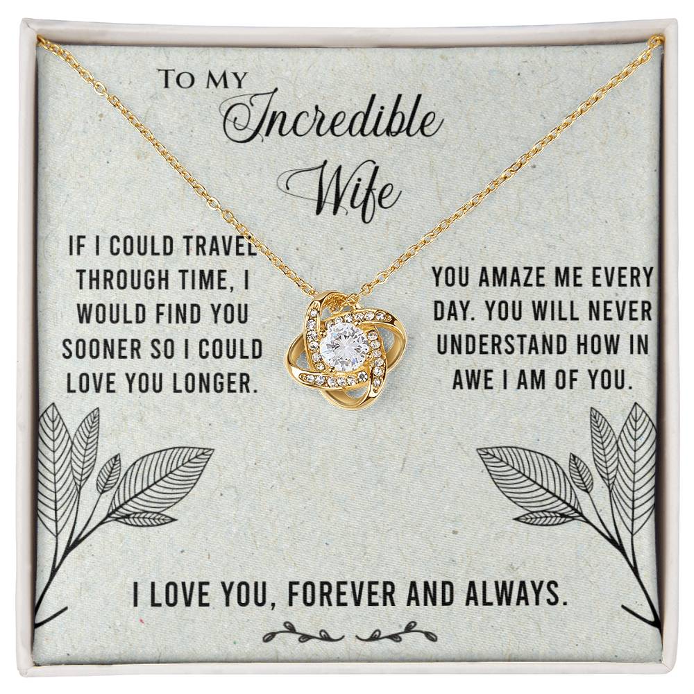 Necklace for Wife - If I could travel through time.