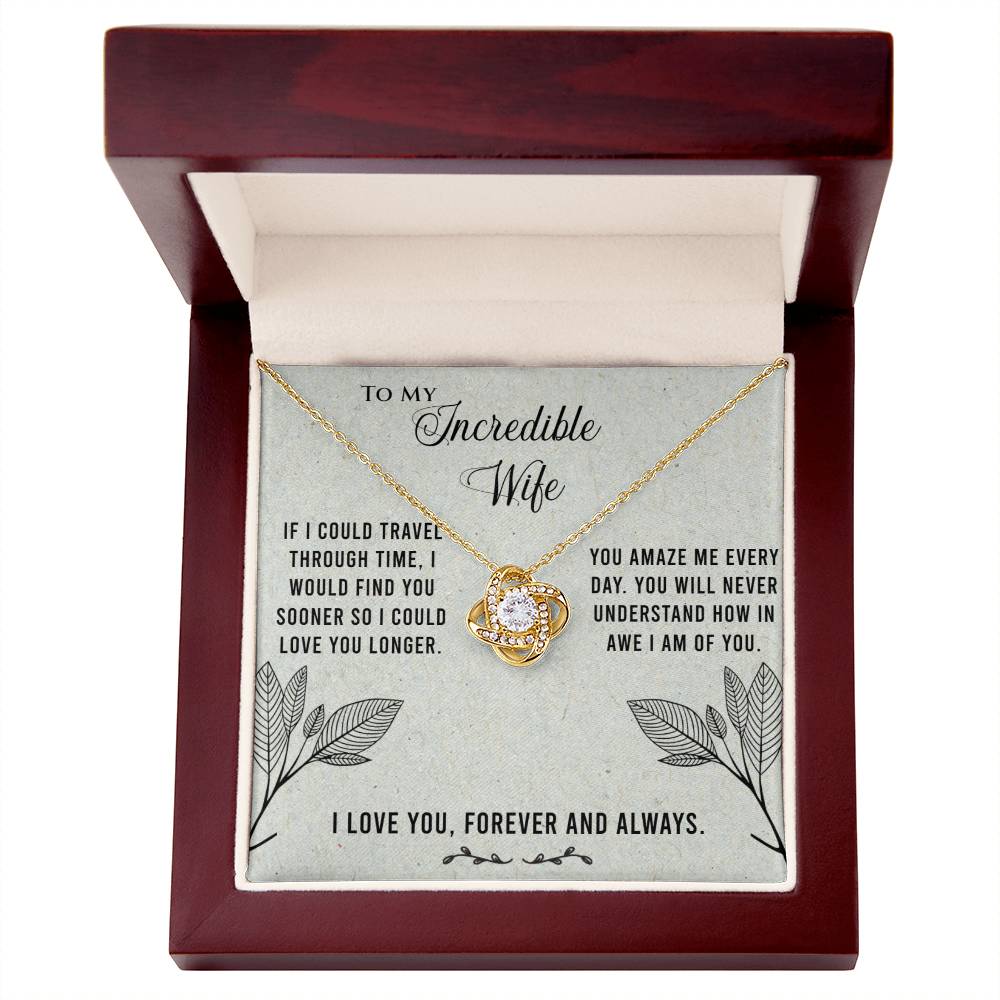 Necklace for Wife - If I could travel through time.