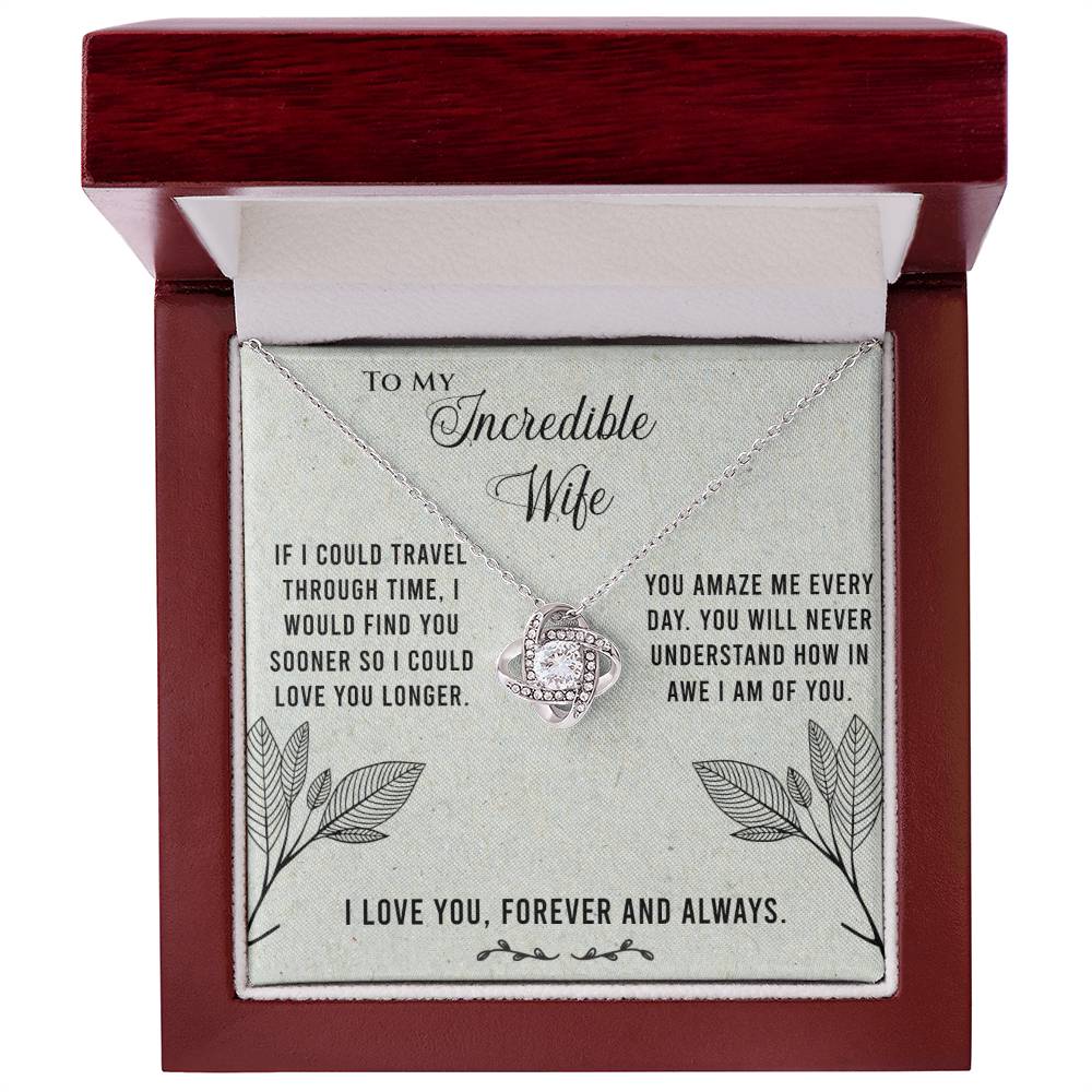 Necklace for Wife - If I could travel through time.